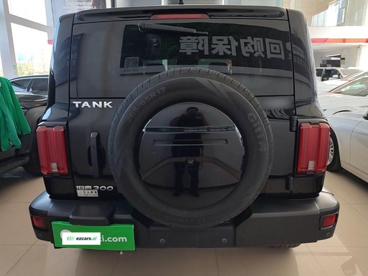 300 2023 Off-road 2.0T Conqueror photo 5