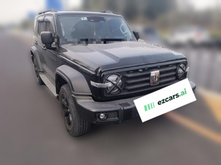 300 2023 Off-road 2.0T Conqueror photo 3