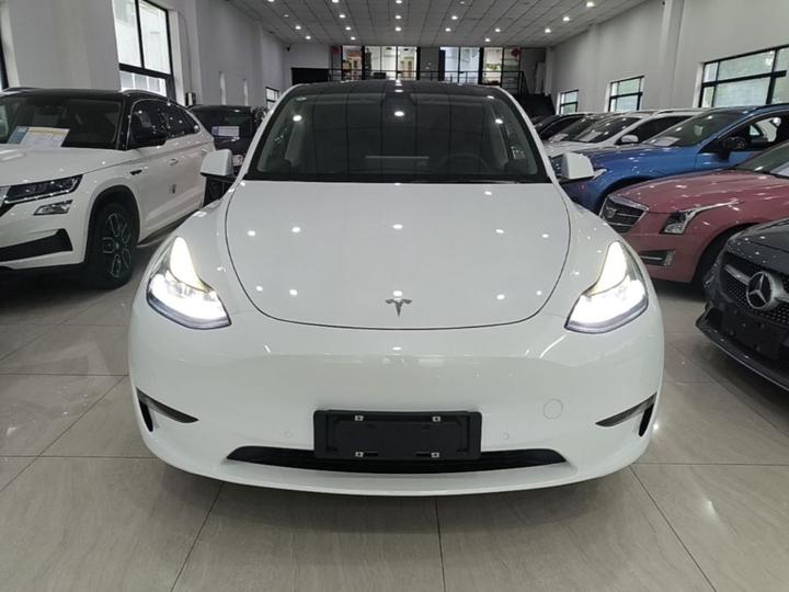 Model Y 2021 Long Range AWD photo 2