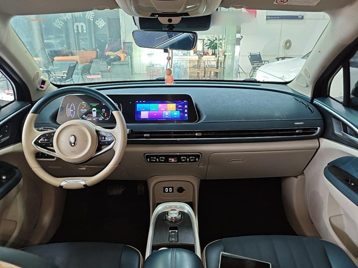 Good Cat 2021 400km Standard Range LFP photo 5