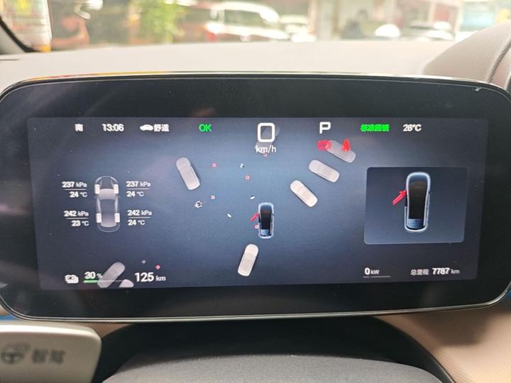 Dolphin 2025 ADAS 410km Fashion photo 3