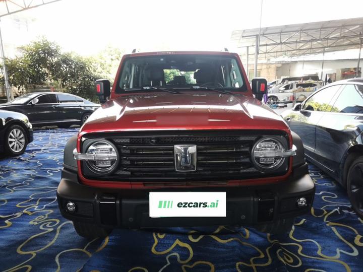 300 2021 Off-road 2.0T Conqueror photo 2