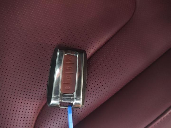300 2025 2.0T Petrol Conqueror photo 8
