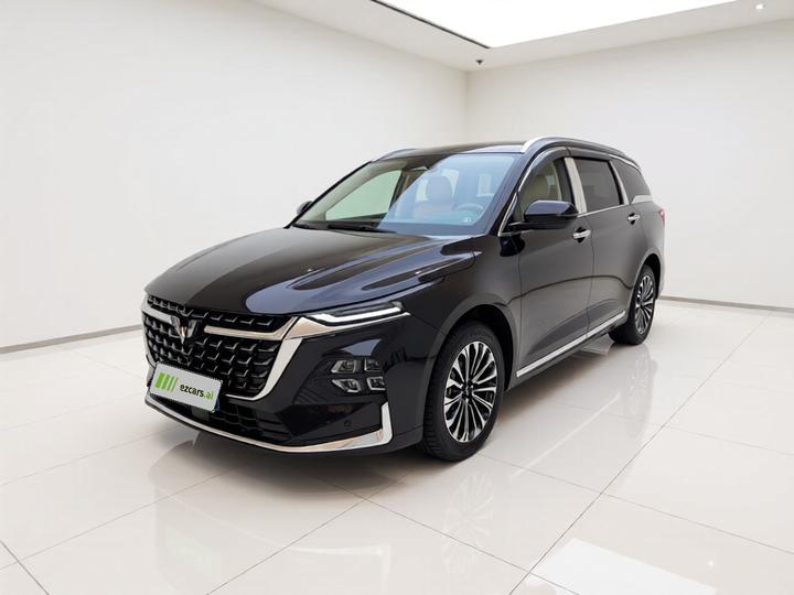 Wuling 2023 2.0L DHT