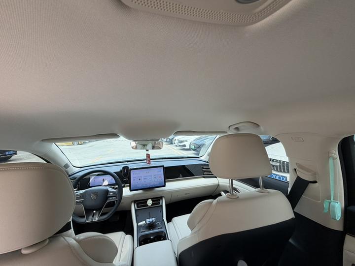 Qin L 2024 DM-i 80KM photo 7