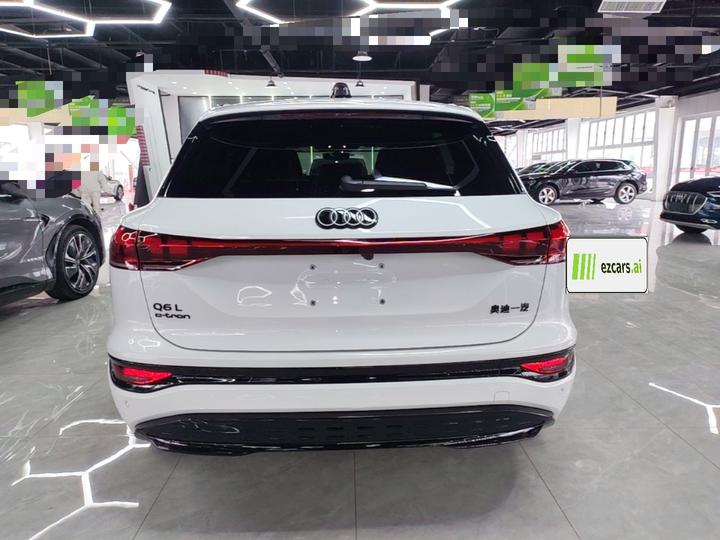 Q6L e-tron 2026 Pilot photo 5