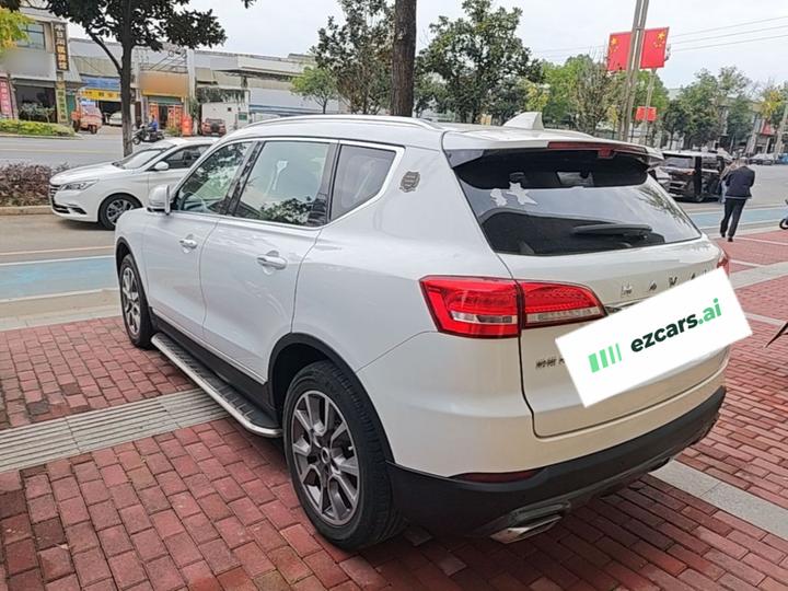 H7 2018 Blue Label H7 2.0T AT Smart photo 4