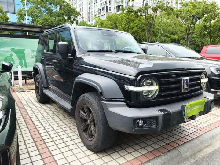 300 2021 Off-road 2.0T Conqueror photo 3