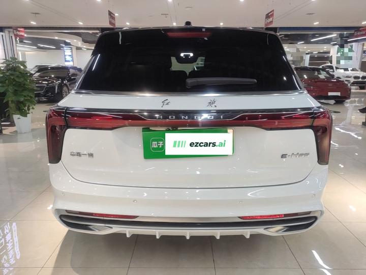 E-HS9 2022 690km 6-Seater photo 3