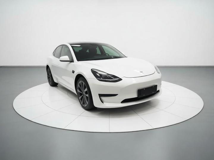 Model 3 2021 Standard Range RWD Upgraded 3D6 photo 3