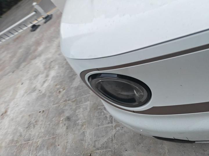 2023 Panda mini 200km Endurance Bear photo 7