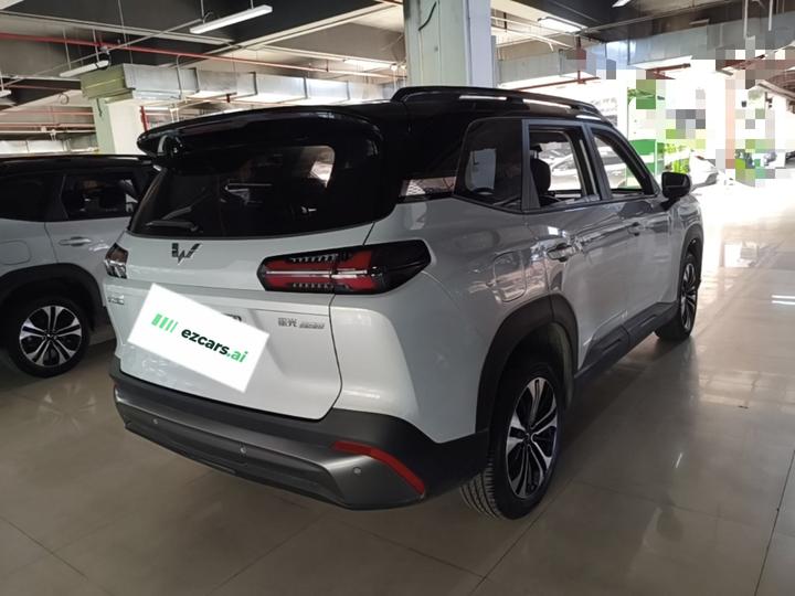 560 EV 2026 125km Luxury photo 4