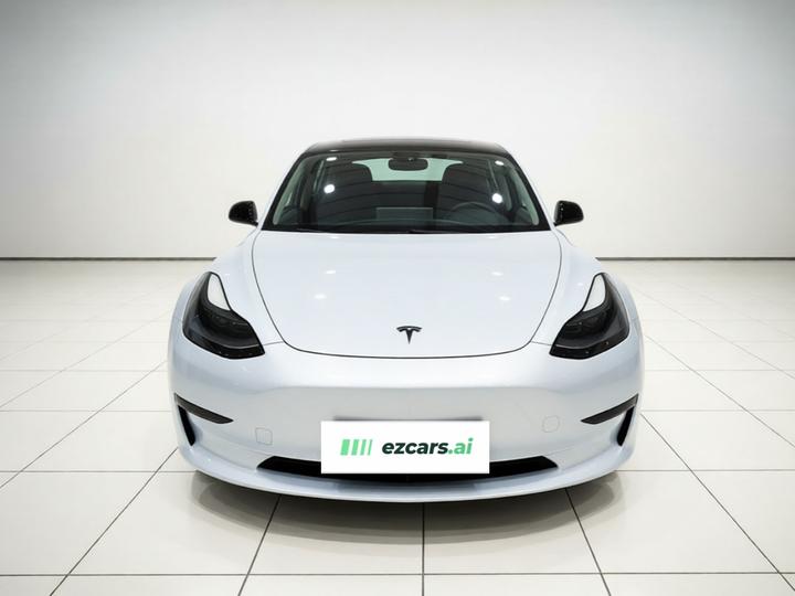 Model 3 2022 RWD photo 2