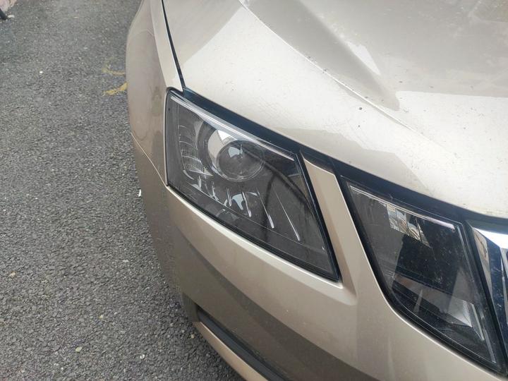 Octavia 2020 1.5L MT Standard photo 7