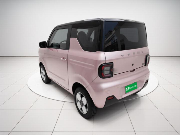2023 Panda mini 200km Endurance Bear photo 4
