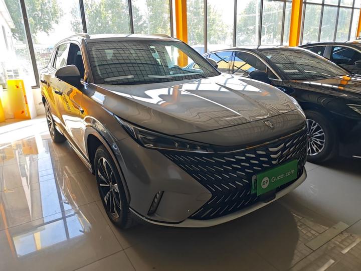 RX5 EV 2023 eRX5 Comfort photo 3