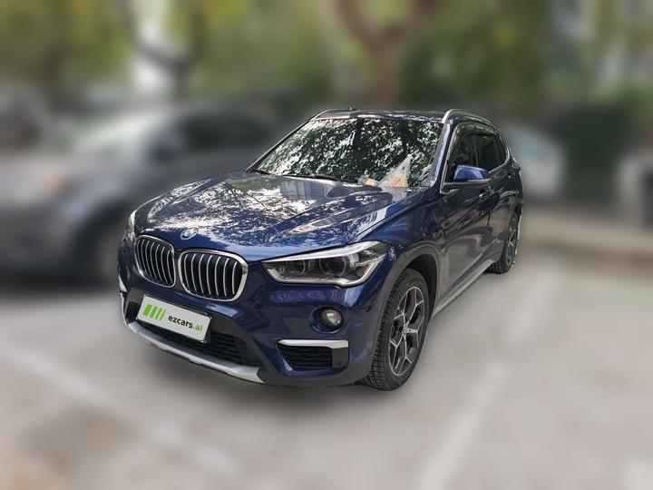 X1 2018 xDrive20Li Luxury