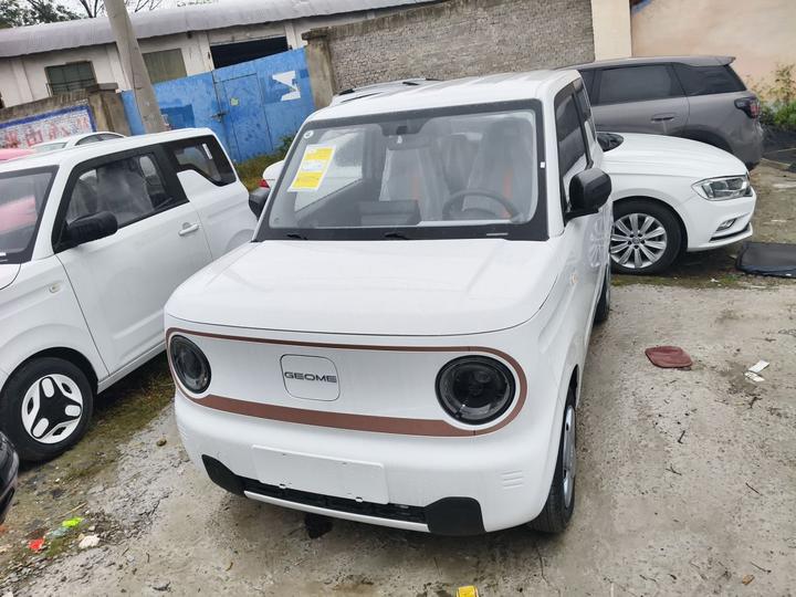 2024 Panda mini 200km Endurance Bear photo 2