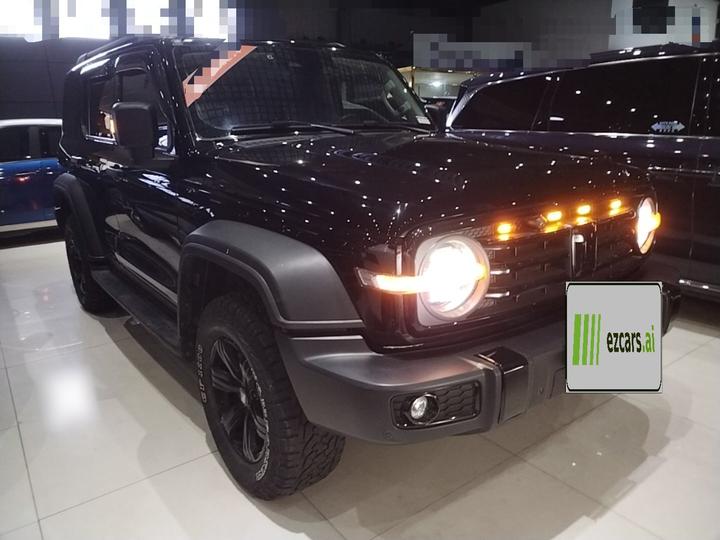 300 2021 Off-road 2.0T Conqueror photo 3