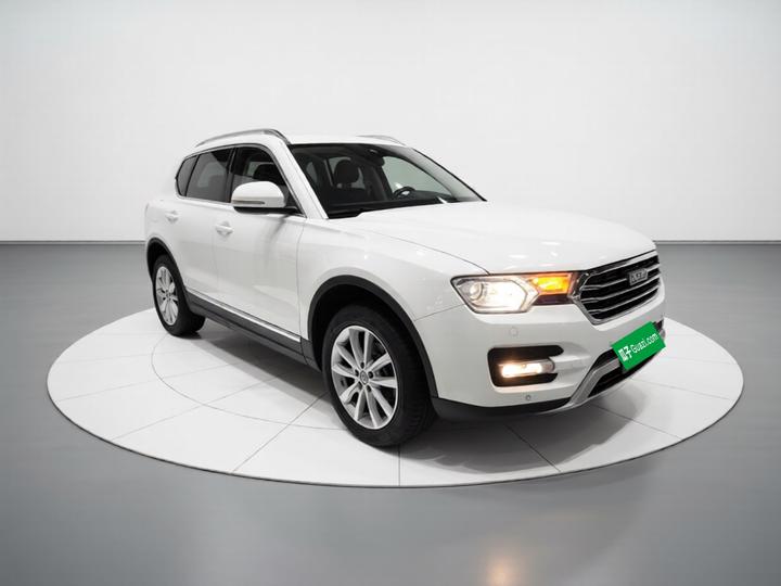 H7 2016 Blue Label H7 2.0T AT Luxury photo 3