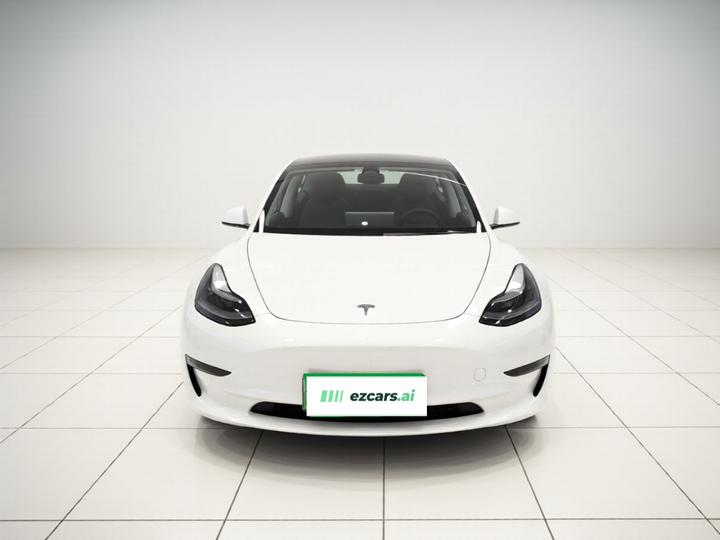 Model 3 2021 Performance AWD photo 2