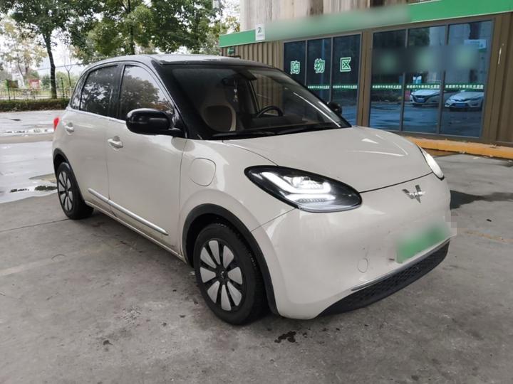 Wuling Bingo 2023 410km Exclusive photo 3