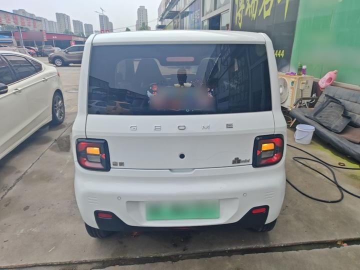 2023 Panda mini 200km Endurance Bear photo 3