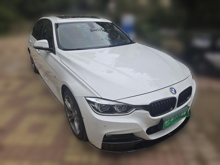 3 Series 2019 320Li M Luxury photo 3