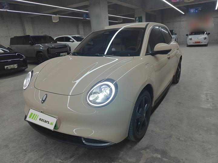 Good Cat 2023 401km Standard Range Luxury LFP