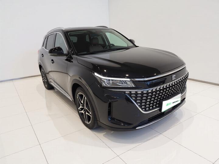 Bluelectric E5 2023 1.5L DE-i 110KM Flagship 7-Seater photo 3