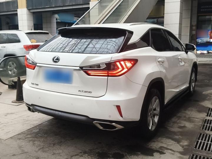 RX 2016 300 RWD Elite China V photo 4