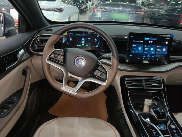 Qin PLUS 2024 Honor EV 420KM Leading photo 6