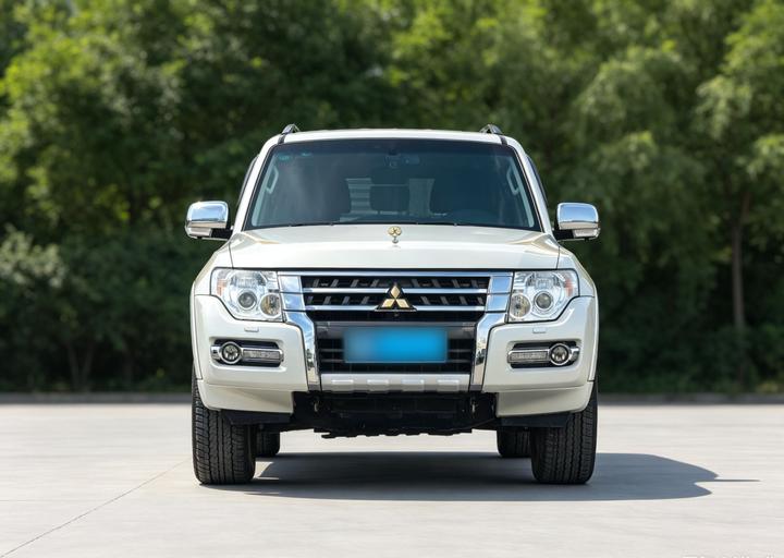 Pajero Parallel Import photo 5
