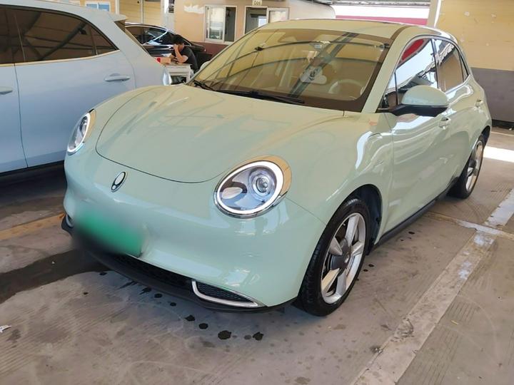 Good Cat 2022 400km Standard Range Premium LFP