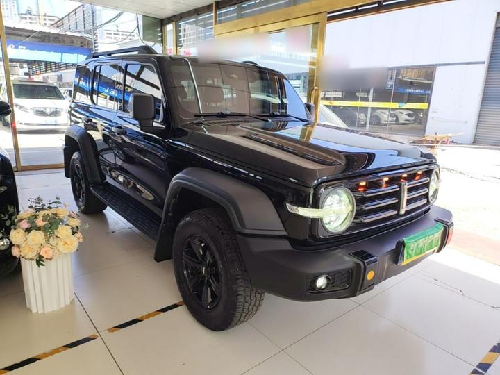 300 2021 Off-road 2.0T Conqueror photo 3