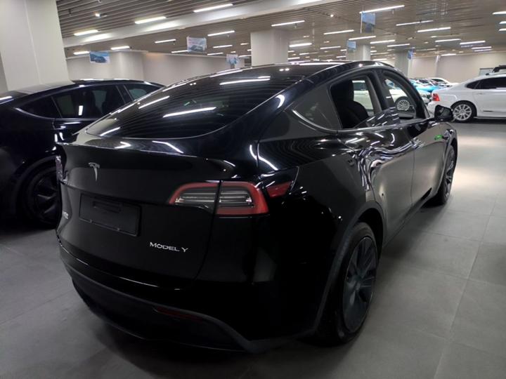 Model Y 2024 RWD photo 6