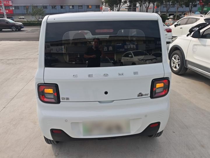 2023 Panda mini 200km Endurance Bear photo 5