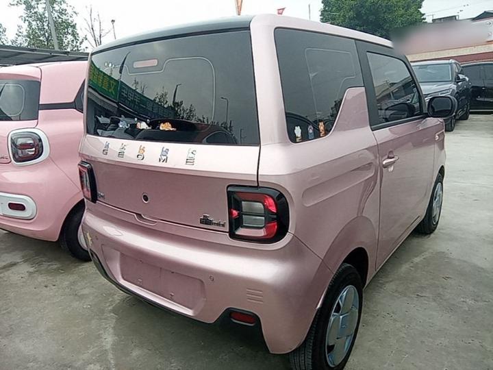 2023 Panda mini 200km Endurance Bear photo 4
