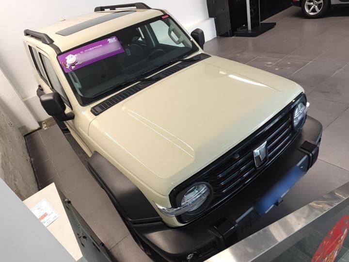 300 2025 2.0T Petrol Conqueror photo 3