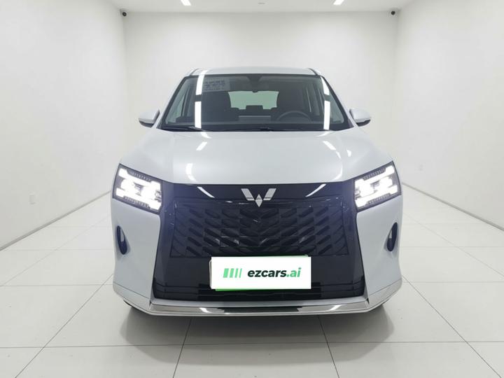 730 EV 2025 125km Luxury photo 2