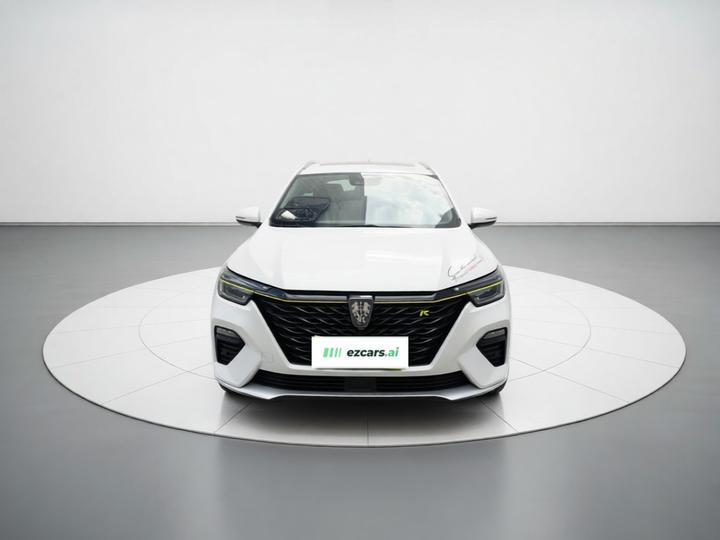 RX5 EV 2020 ePLUS Luxury photo 2