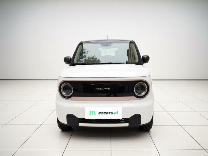 2023 Panda mini photo 2