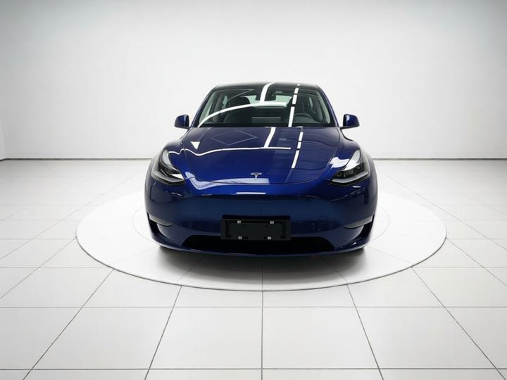 Model Y 2021 Long Range AWD photo 2