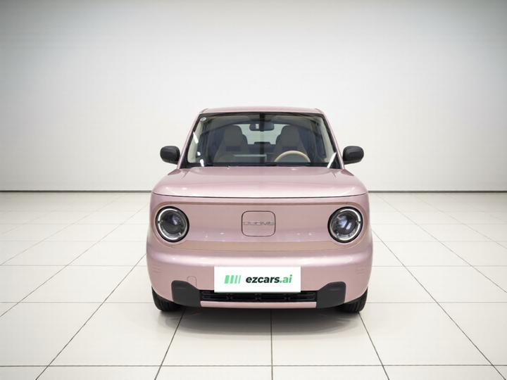 2024 Panda mini 200km Endurance Bear photo 2