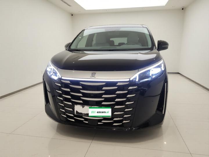 2025 DM-i 1.5T 180km Excellence photo 2