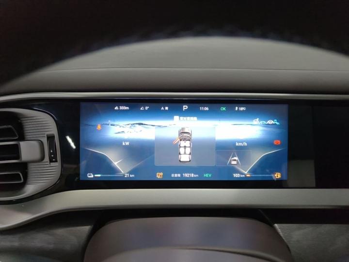 D9 2024 DM-i 980 AWD Premium photo 7
