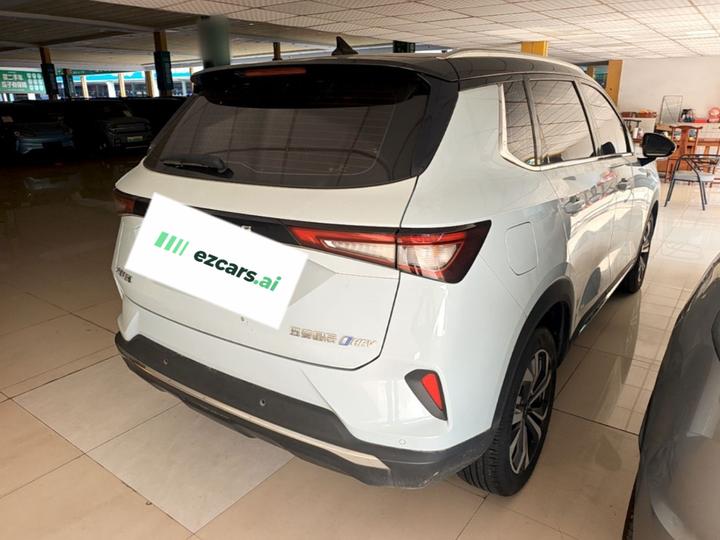 Wuling 2022 2.0L DHT photo 4