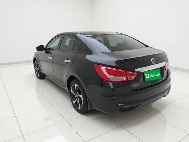 Haima 2017 1.6L AT Luxury photo 4