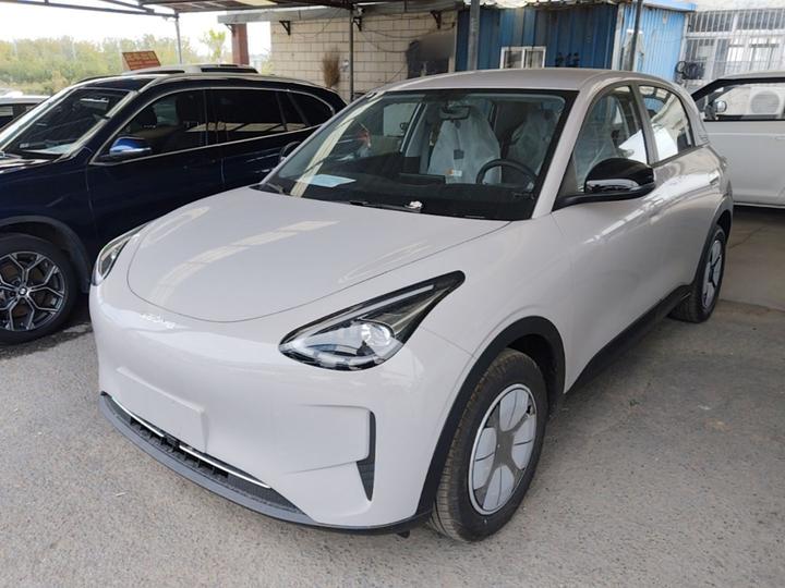Xingyuan 2026 310km