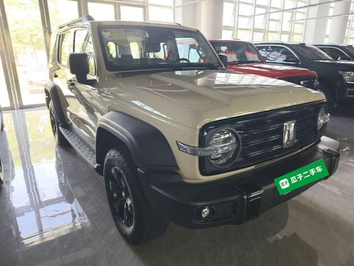 300 2025 2.0T Petrol Conqueror photo 3